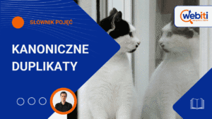 Kanoniczne duplikaty co to